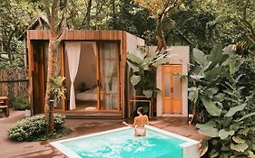 พราวภูฟ้าแม่ริม